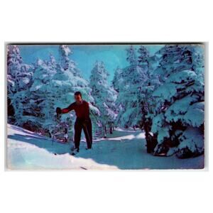 Vintage Skier Taft Slalom Trail Cannon Mtn Franconia Notch NH Plastichrome